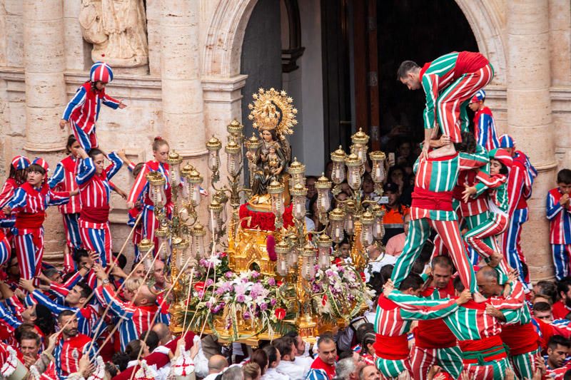 Festes de la Mare de Déu de la Salut de Algemesí