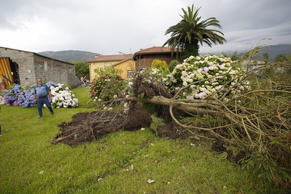 Los resultados del tornado en Ballota