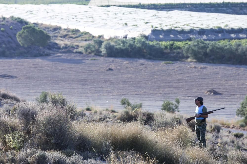 Diez mil cazadores inician la temporada de caza del conejo