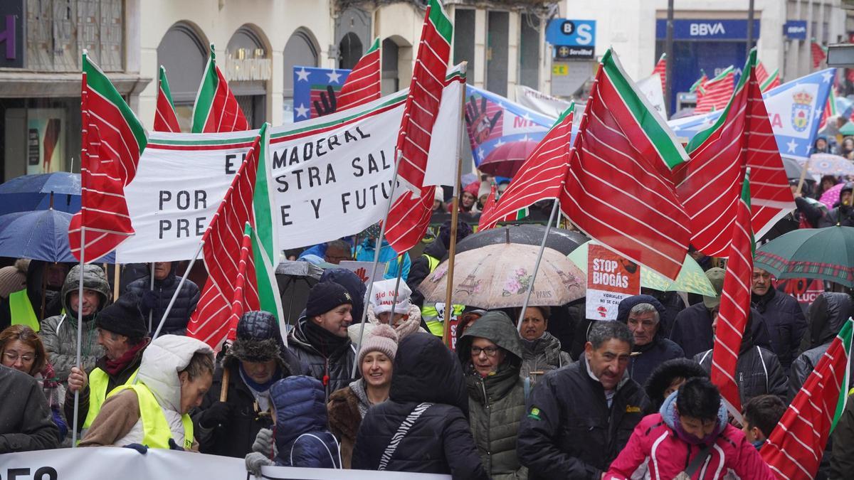 Medio millar de personas secundan la segunda protesta contra el biogás en Zamora