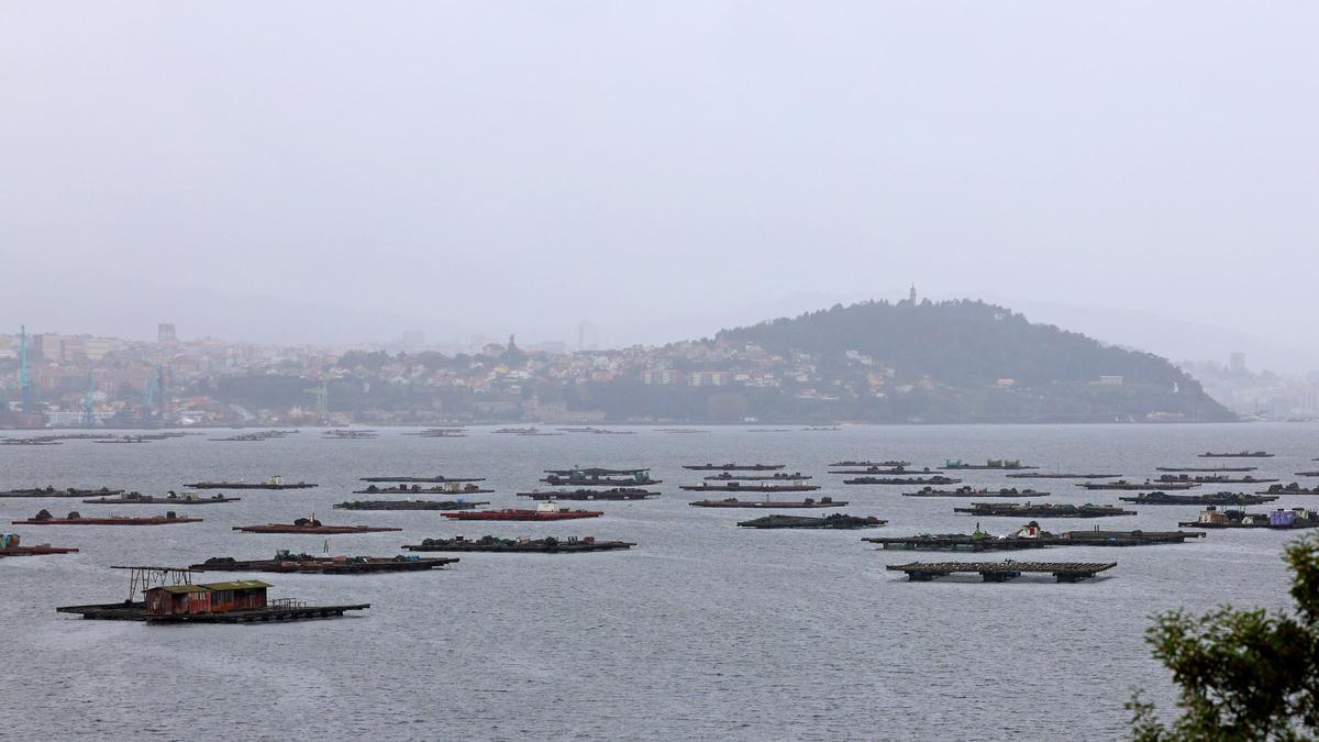 Vista del temporal de viento y lluvia en la ría de Vigo, desde Domaio (Moaña).