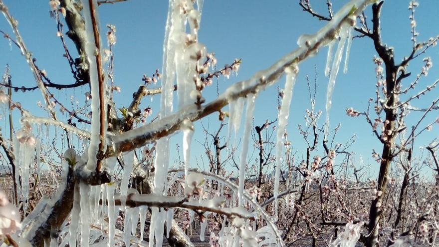 Las heladas activan de nuevo la alerta amarilla en la Región de Murcia