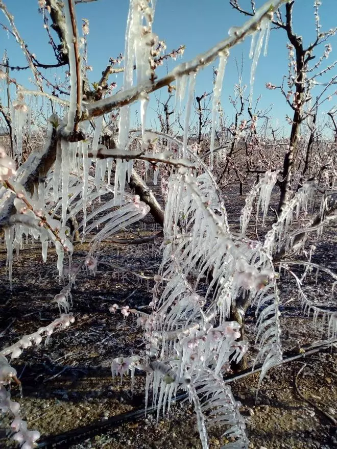 Alerta por temperaturas de hasta -4 grados en la Región