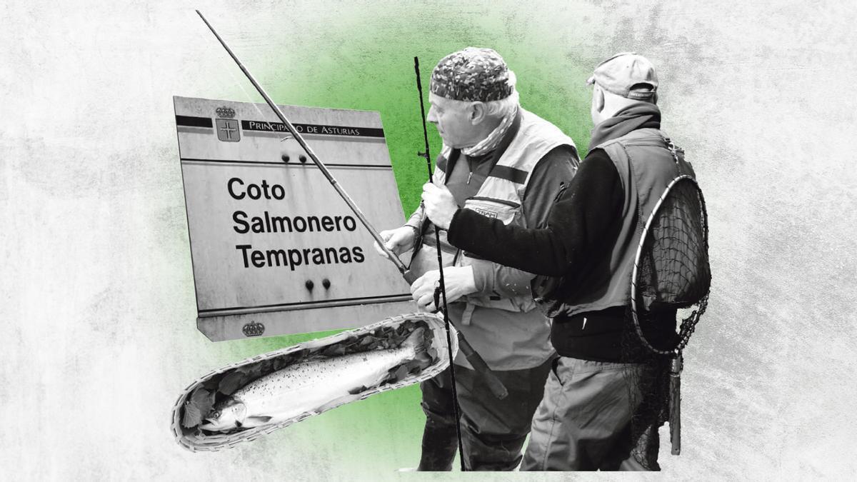 Asturias cierra la peor temporada del salmón de su historia