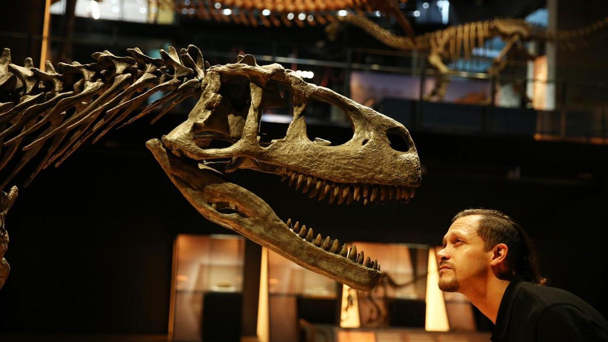 Cara a cara con el dinosaurio, en la muestra de CosmoCaixa.