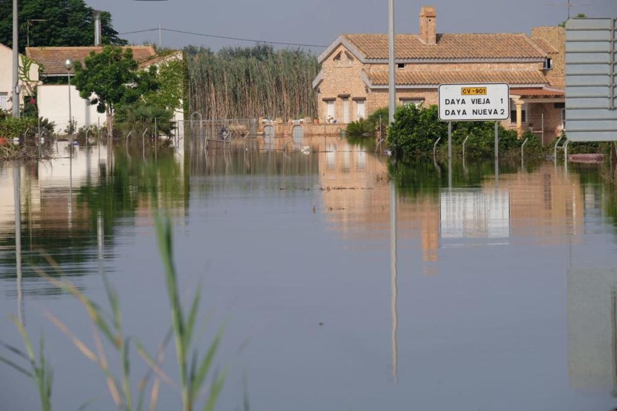 Gota fría en la Vega Baja: Los agricultores cifran en 550 millones las pérdidas en el campo de la provincia de Alicante