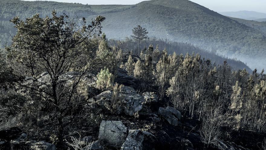 Ourense suma otro incendio y ya son nueve activos en Galicia con 3.660 hectáreas quemadas
