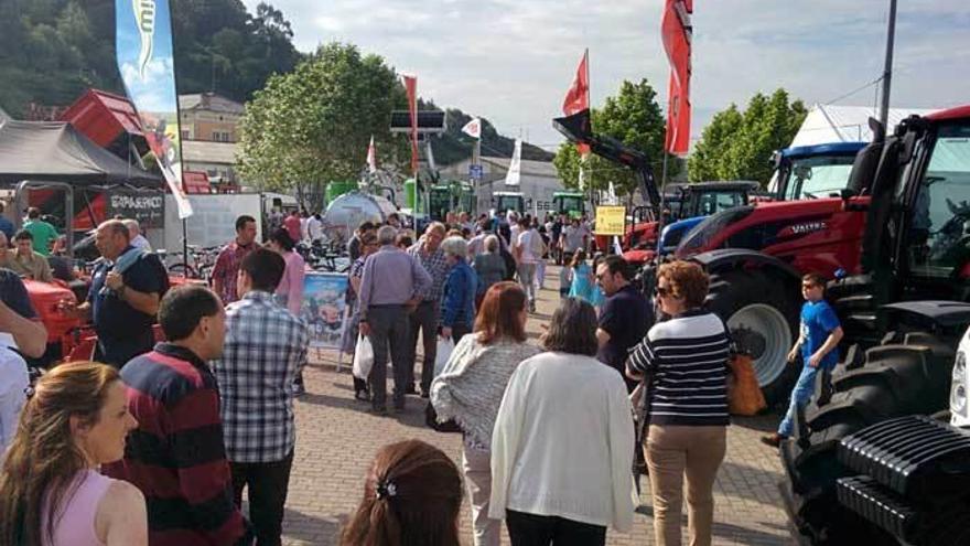 Visitantes ayer en el recinto ferial de Vegadeo.