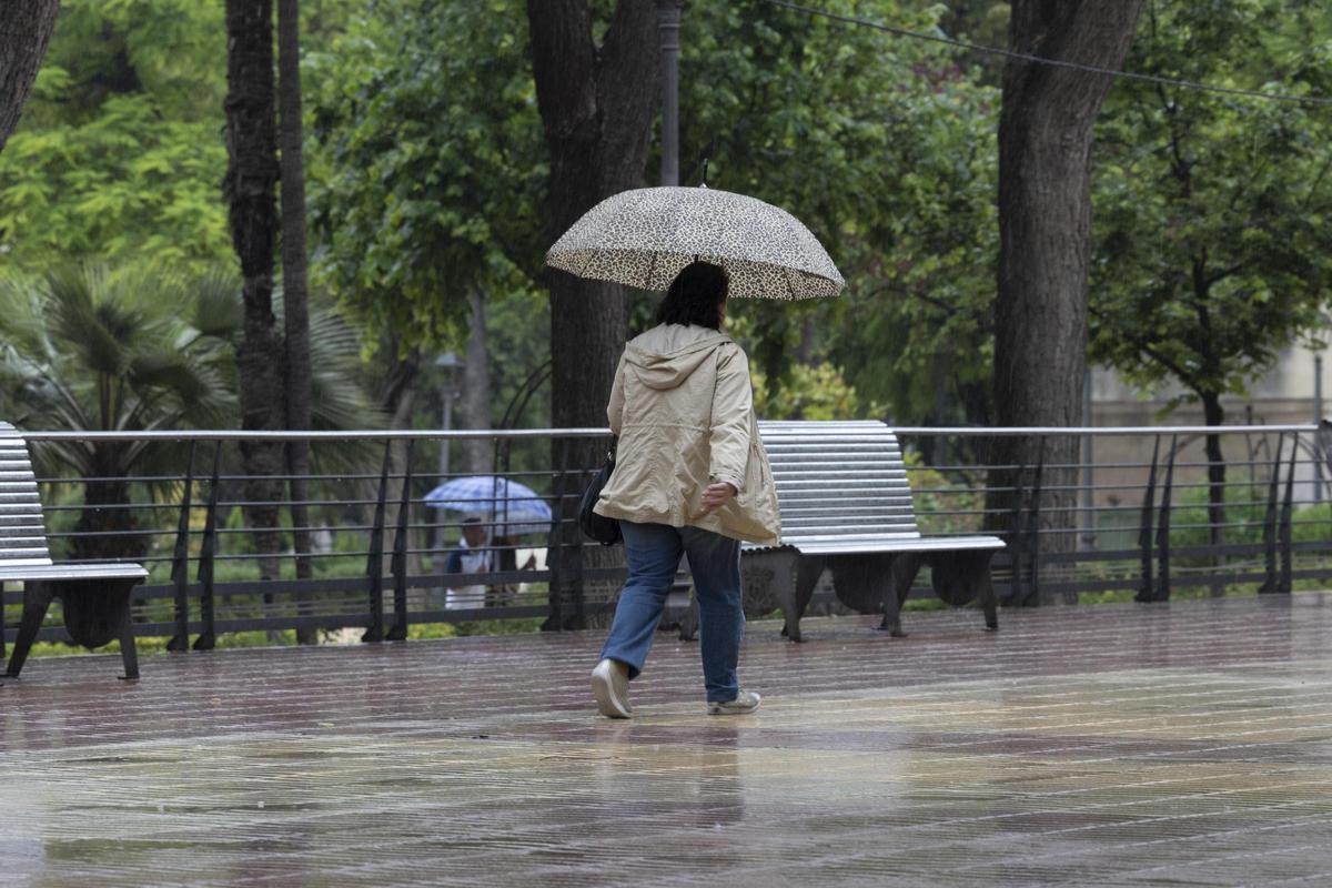 Una semana de cielos encapotados y precipitaciones: la previsión del tiempo en Valencia Una semana de cielos encapotados y precipitaciones: la previsión del tiempo en Valencia