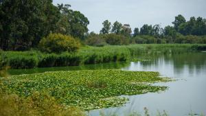 Imágenes de la Laguna de las Madres. A 2 de junio de 2026 en Palos de la Frontera, Huelva (Andalucía, España). La consejera en funciones de Sostenibilidad y Medio Ambiente, Catalina García, visita en Palos de la Frontera (Huelva) el humedal de la Laguna de Las Madres junto a la directora de la Fundación Moeve, Teresa Mañueco, para conocer los avances del proyecto de recuperación ambiental impulsado por la Junta de Andalucía y la fundación 02 JUNIO 2026 Francisco J. Olmo / Europa Press 02/06/2026. Francisco J. Olmo