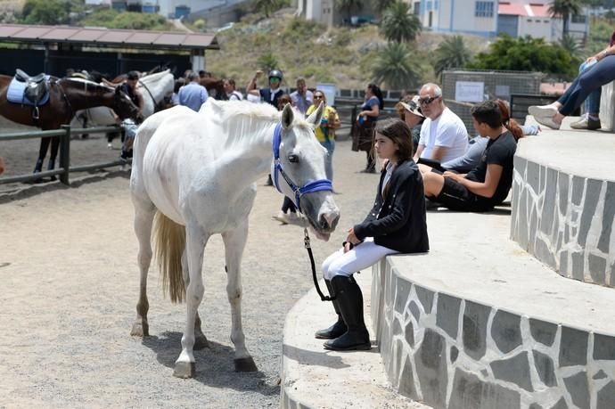 Hípica - Concurso Nacional de Saltos Gran Canaria