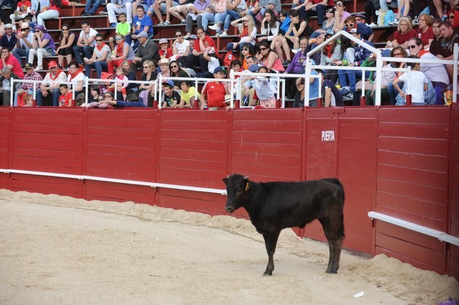 Becerrada, encierros y vaca de la sangría