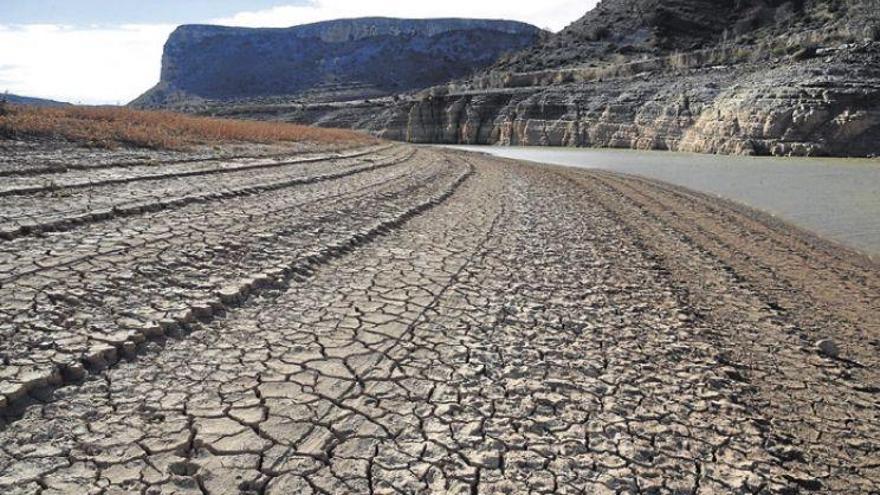 La sequía deja pérdidas medias de 3.800 € a cada agricultor de cereal