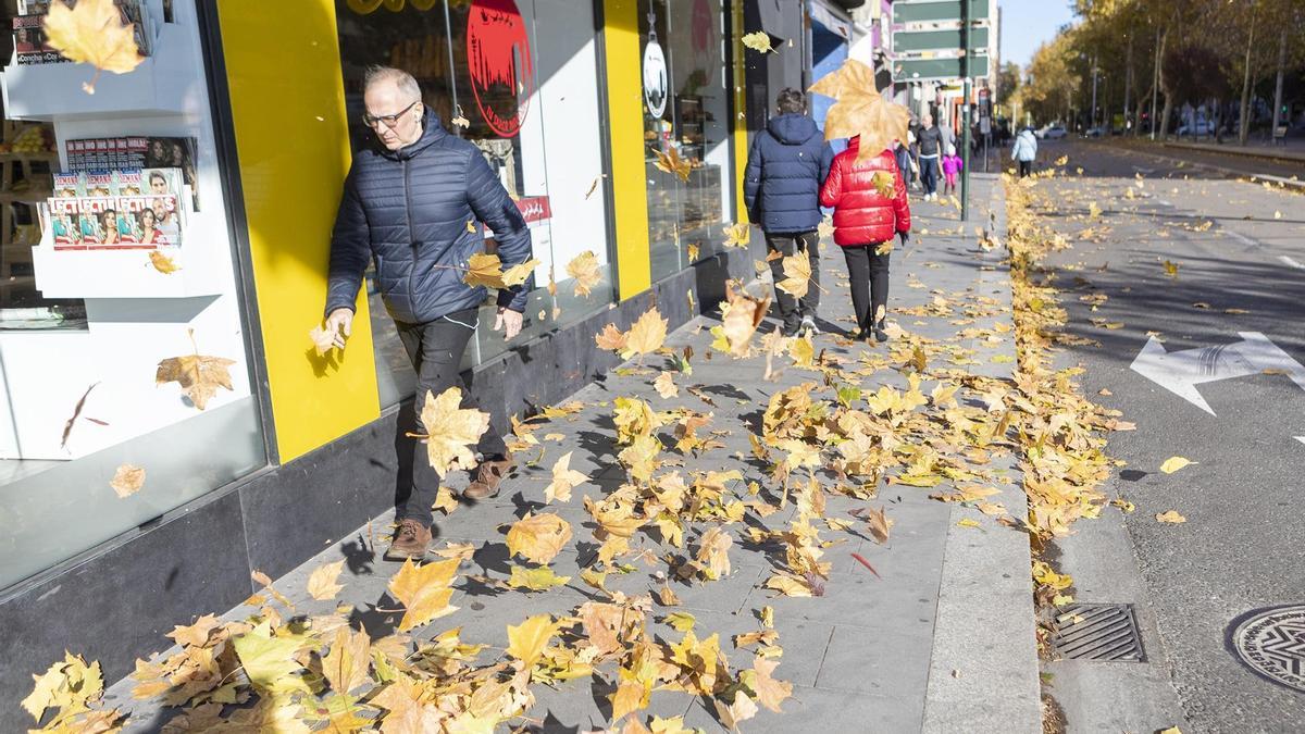 Las hojas molestan a los ciudadanos por las calles de Zaragoza en una imagen de archivo