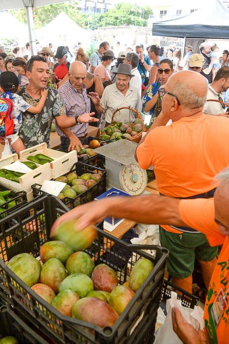 II FERIA MANGO Y AGUACATE