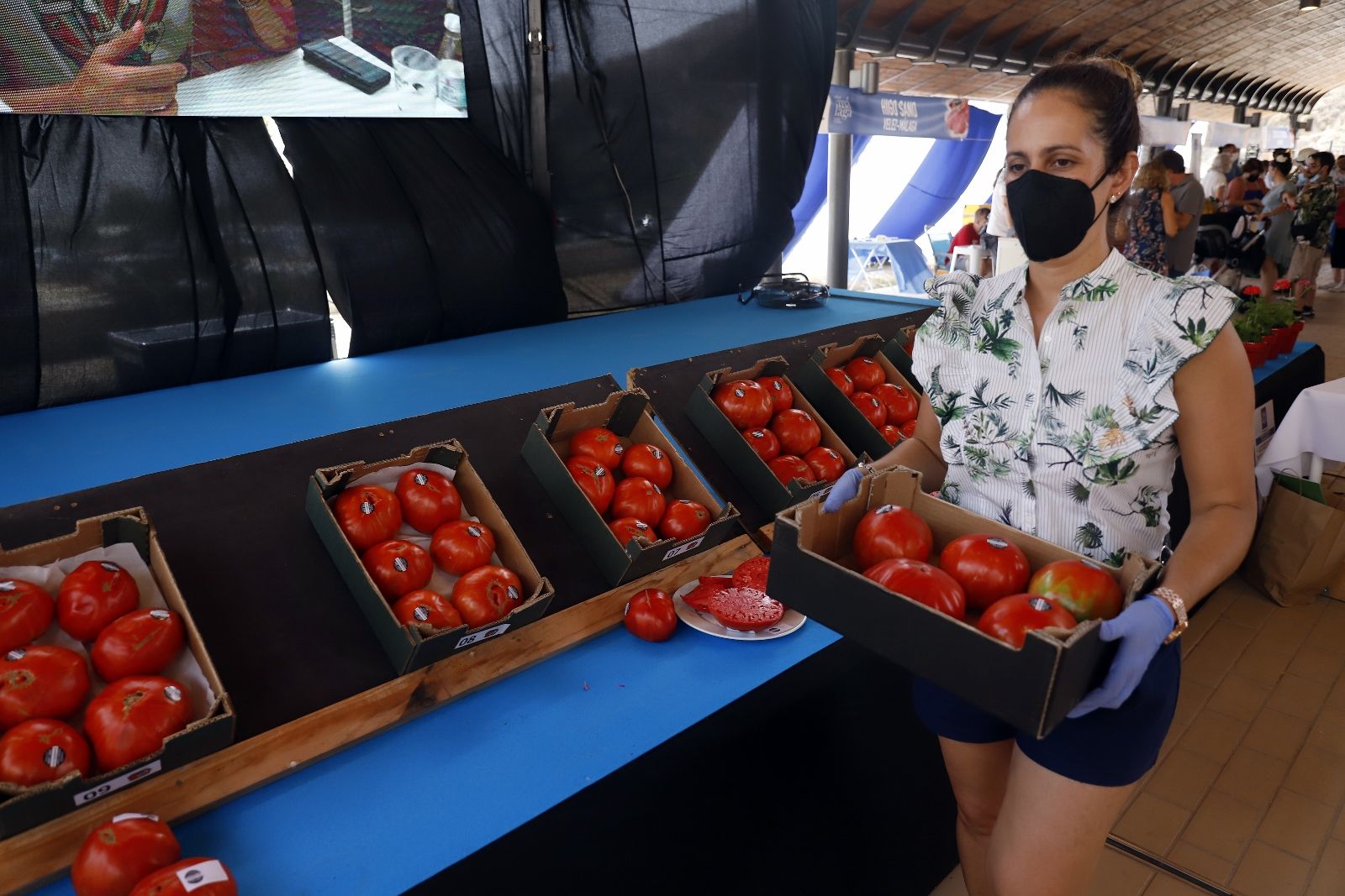 Concurso hortofrutícola de Coín y subasta Mejor Tomate Huevo de Toro