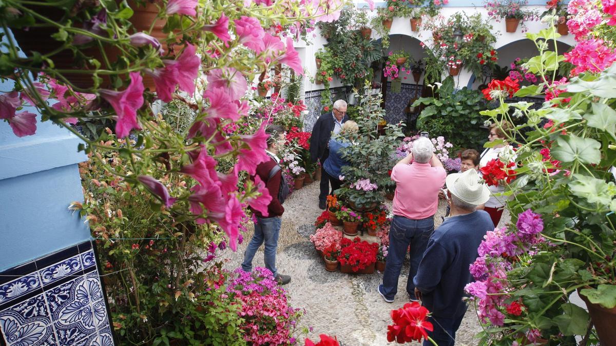 Imagen de uno de los patios participantes en el concurso municipal.