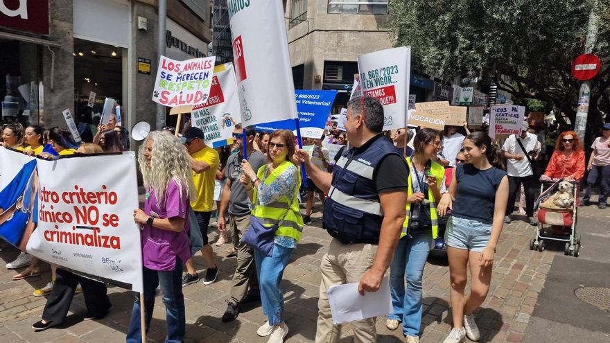 La juventud no espera el futuro: ya lo está construyendo