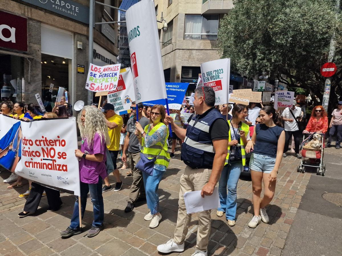 Algunos asistentes a la manifestación de Tenerife.