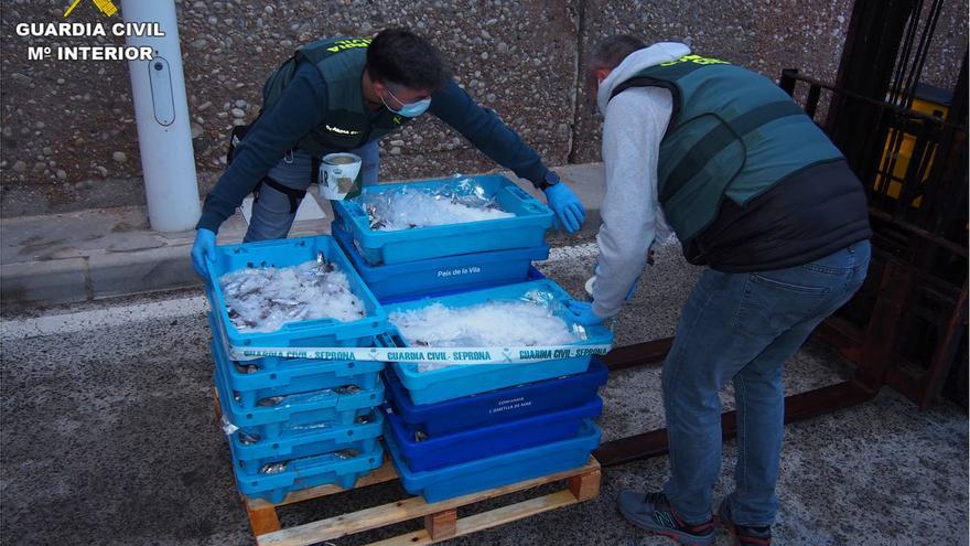 Decomisan 110 kilos de pescado inmaduro en el puerto de Altea
