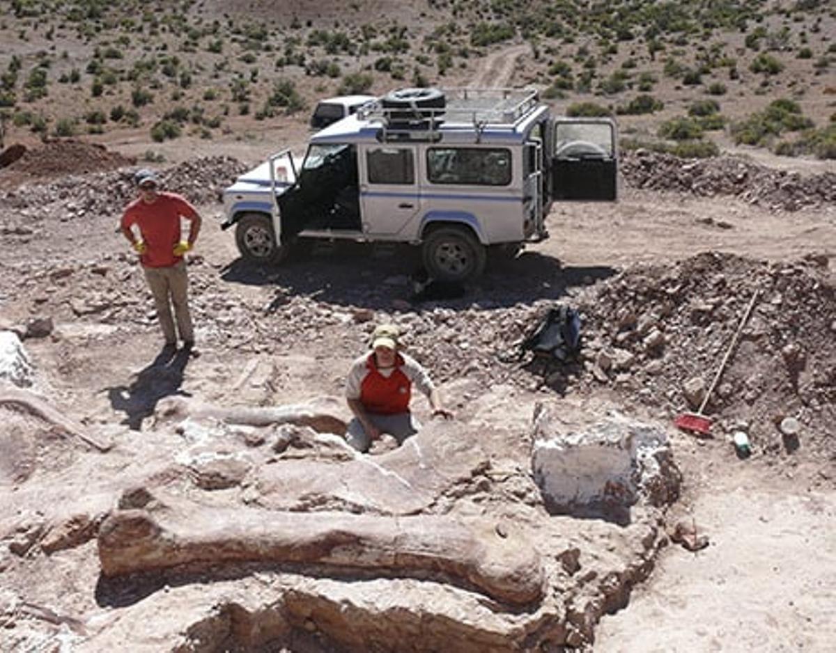 El equipo del MEF encargado de desenterrar el fémur de 2,40 metros perteneciente al Patagotitan mayorum.