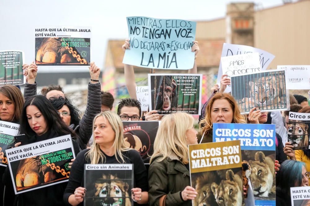 Protesta contra un circo con animales en Alfafar