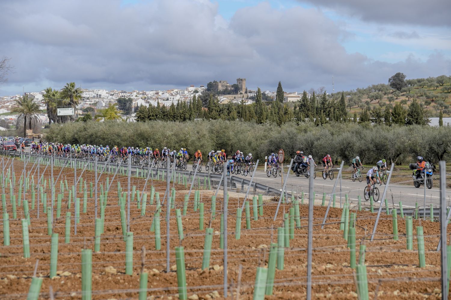 La salida de la etapa de Córdoba de la Vuelta a Andalucía en imágenes