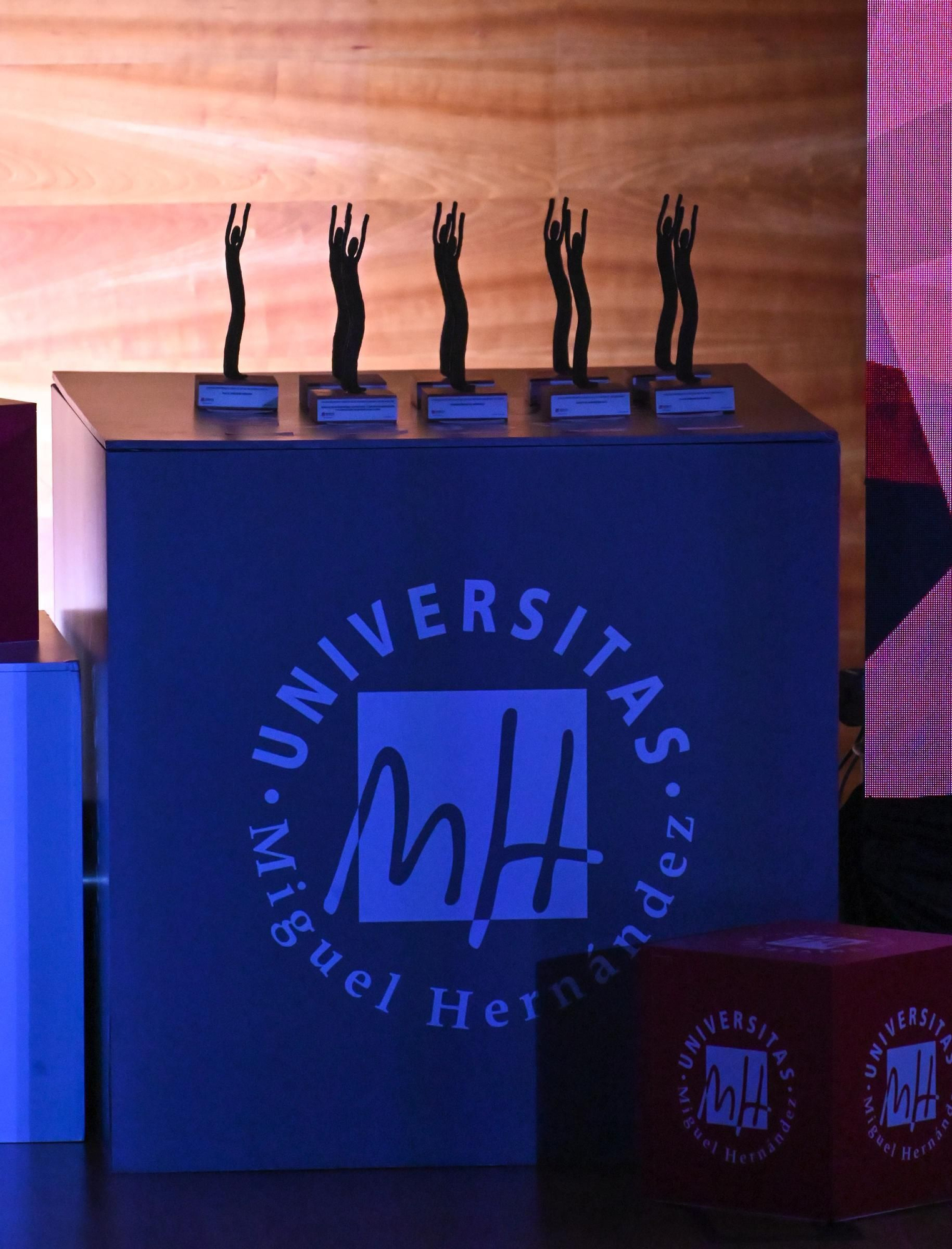 Estos han sido los premiados en la XVIII edición de los Premios del Consejo Social de la UMH de Elche