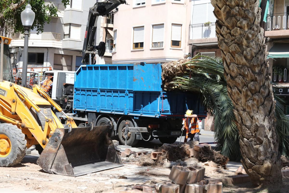 La retirada de las palmeras ha dejado unos enormes huecos en el parque.