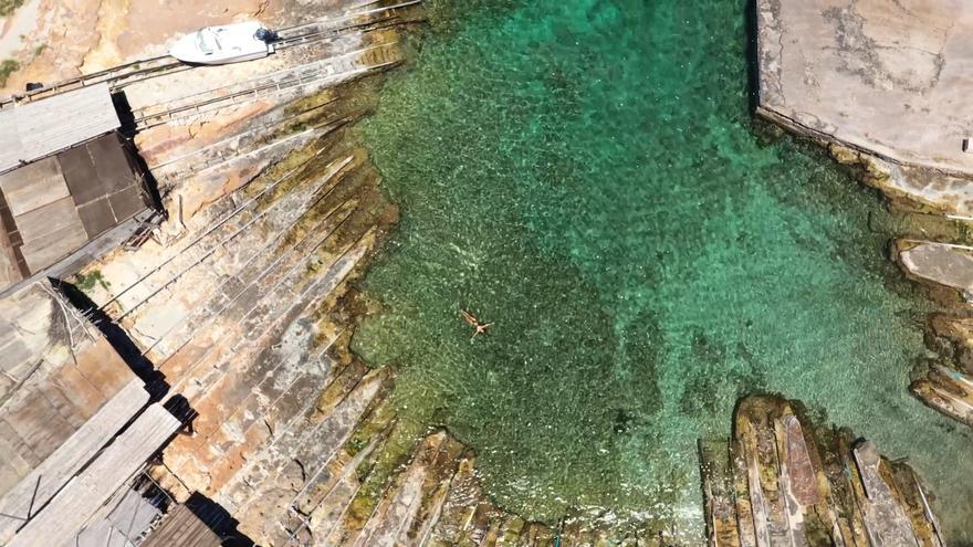 Baleària presenta su proyecto de biodiversidad 'Living Formentera'