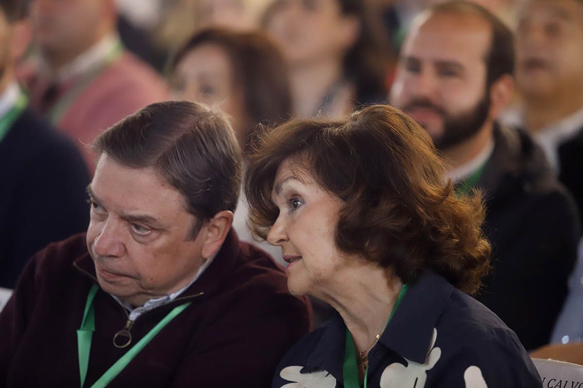 El Congreso provincial del PSOE de Córdoba, en imágenes