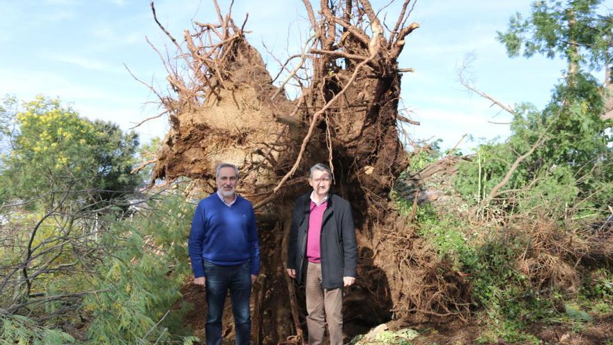 Cores Tourís y José Luis Pérez posan ante un árbol derribado por el viento en Meis