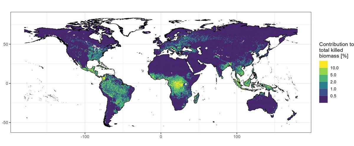 Distribución de la frecuencia de rayos en el planeta