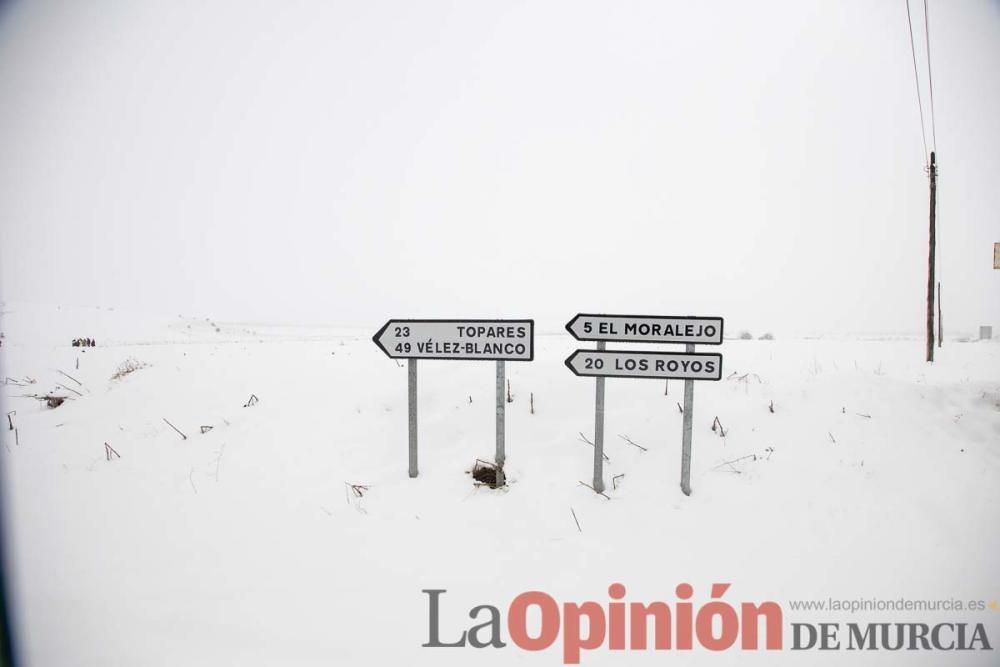 Temporal en el Noroeste (pedanías de El Moral y El