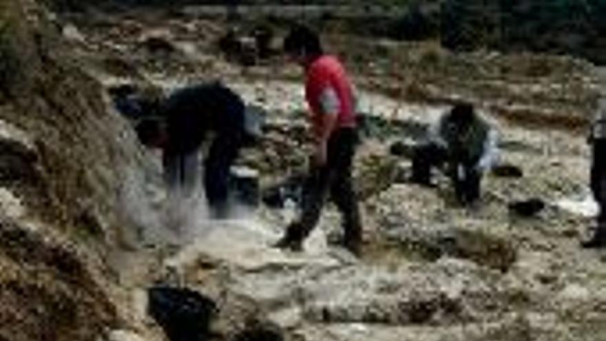 Los paleontólogos de Dinópolis encuentran más restos en Riodeva