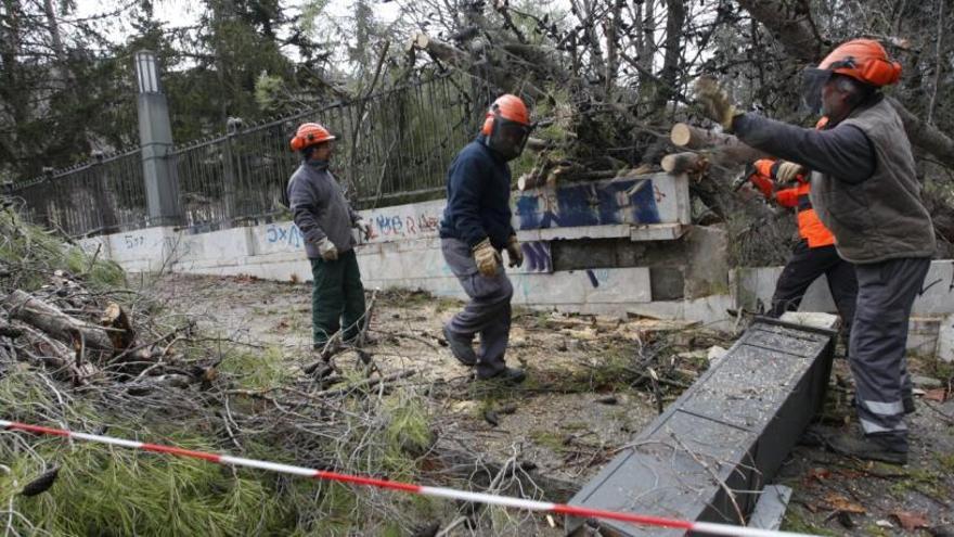 Operarios municipales retirando árboles caídos en el parque del Romeral