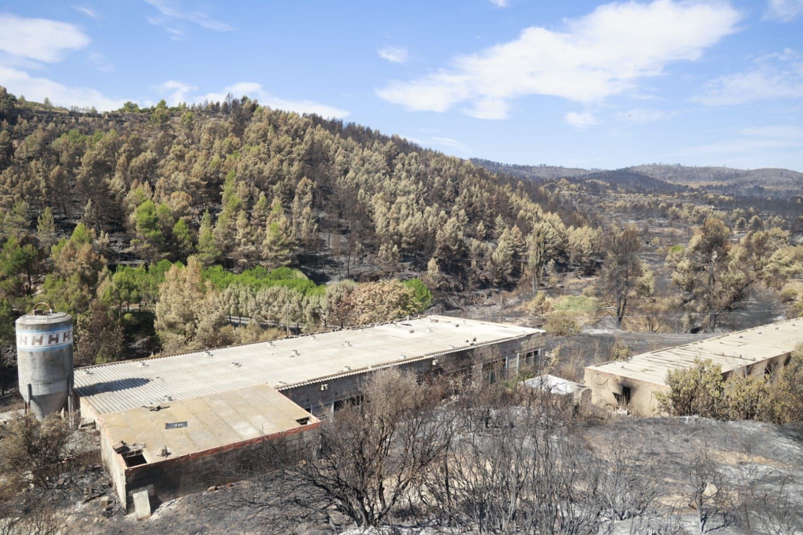 Las consecuencias del incendio de Bejís en Teresa