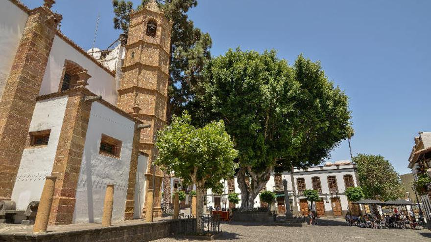 Los árboles que se encuentran en las inmediaciones de la basílica de Teror.