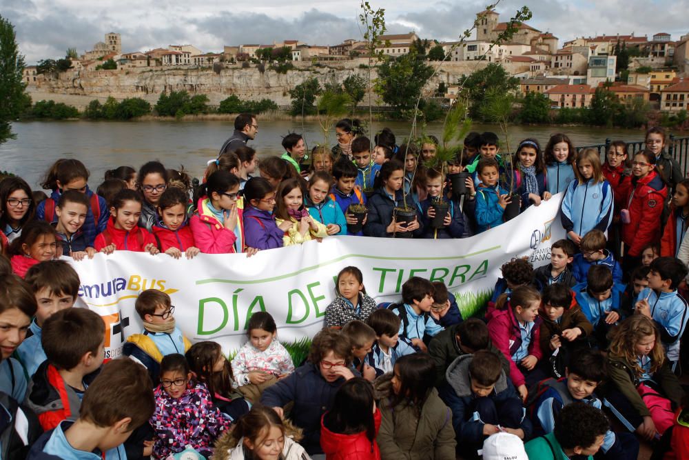 Celebración del Día Internacional de la Tierra