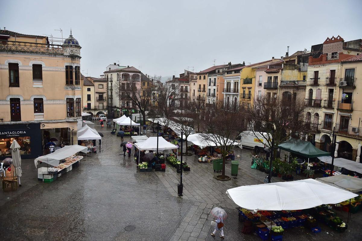 Mercado de la plaza Mayor de Plasencia, este martes.