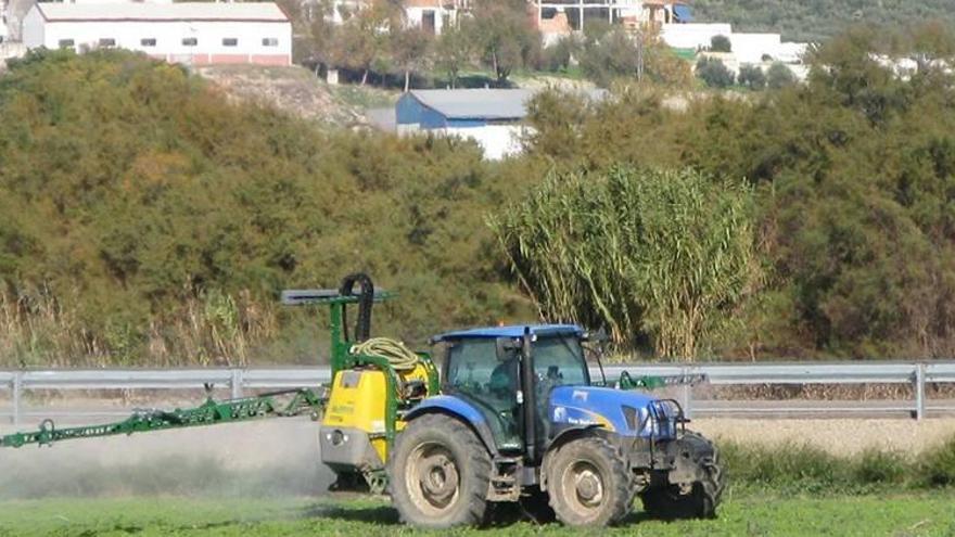 Convocadas las ayudas para contratar seguros agrarios