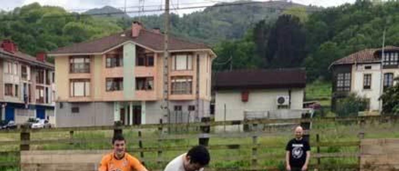 Unos turistas participan en una capea en un prado asturiano.