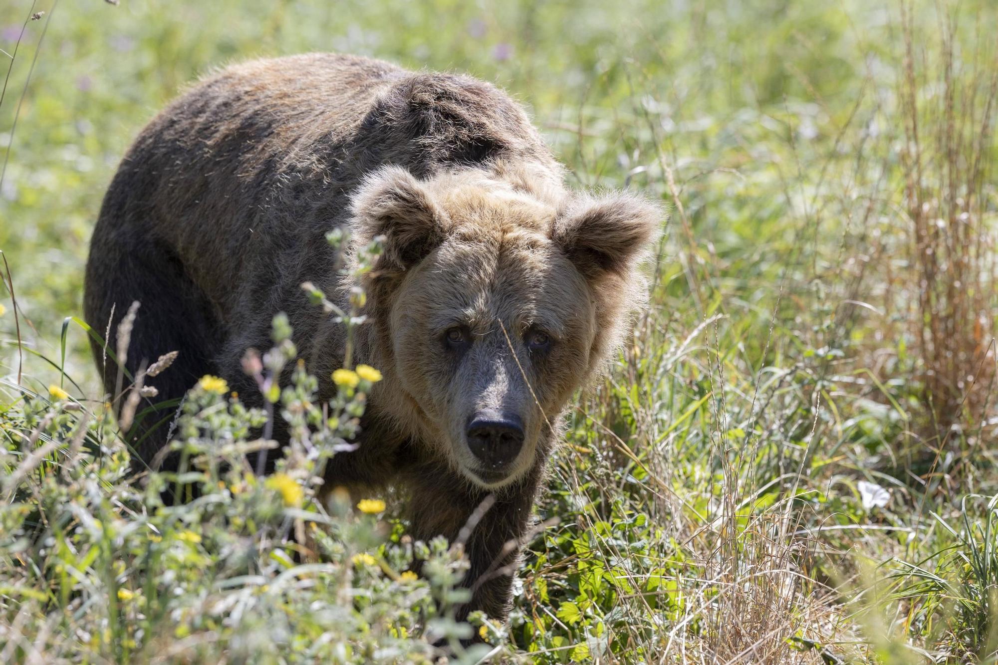 230726LNE_MIKI LOPEZ (178886707).jpg