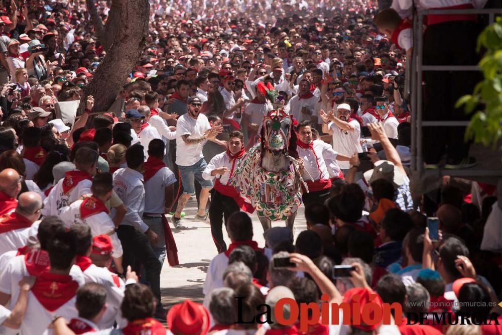 Carrera de los Caballos del Vino