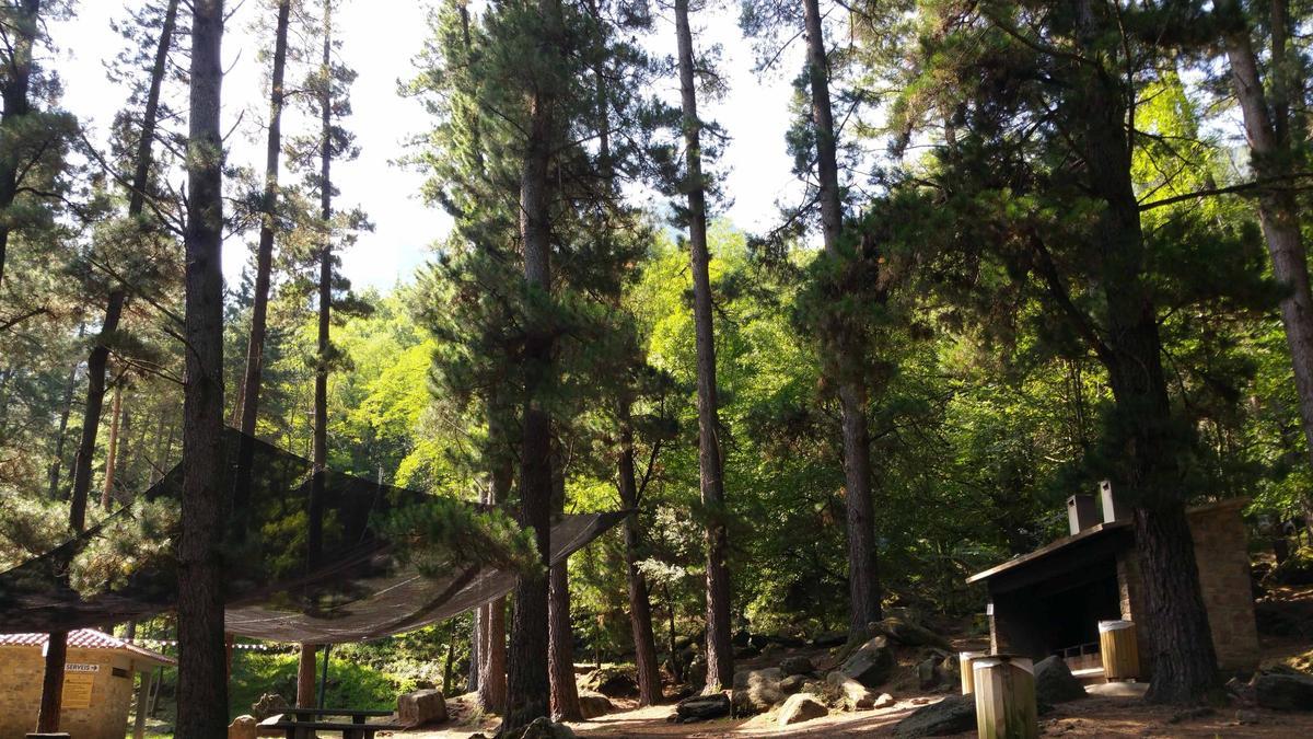 La zona dels Pins surt a concessió per la temporada d'estiu