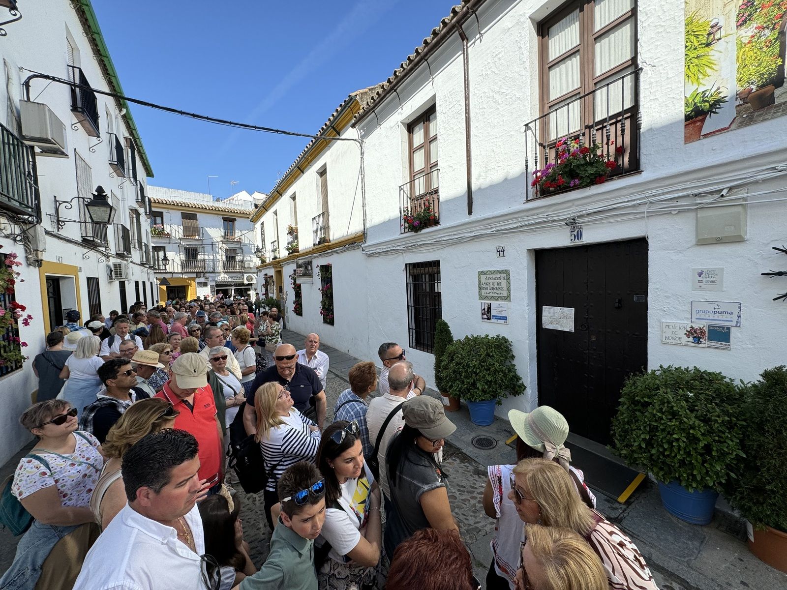 Ambiente en el último sábado de Patios