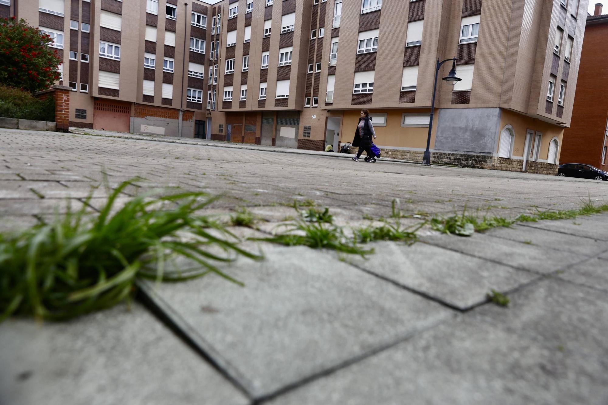Moreda, el "barrio joven" a escasos minutos del centro de Gijón que quiere seguir brillando (en imágenes)