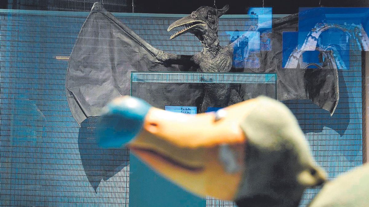 Una imatge de l’exposició ‘Animals invisibles’, al Museude Ciències Naturals de Barcelona / FERRAN NADEU