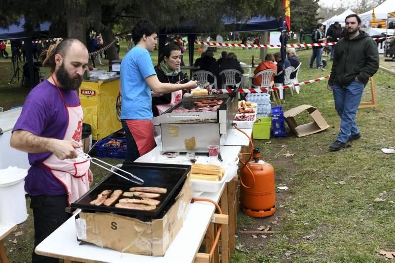 Cincomarzada en Zaragoza