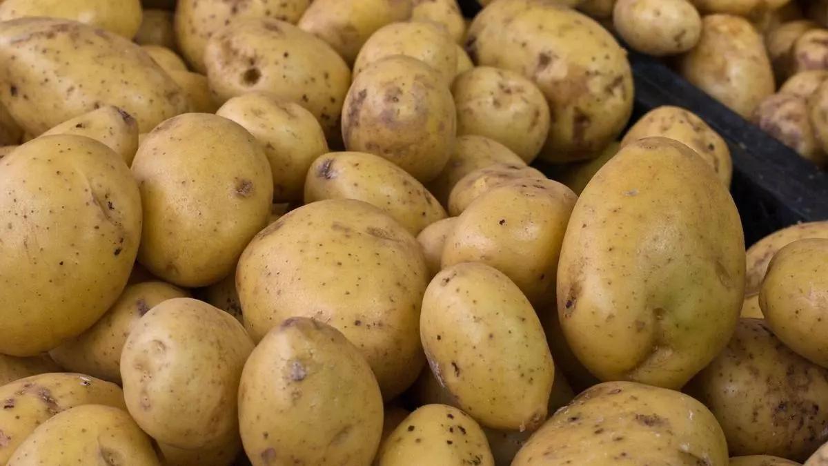 Patatas en una imagen de archivo.